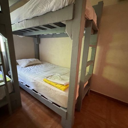 Pecari 26 Apartment Канкун Екстериор снимка