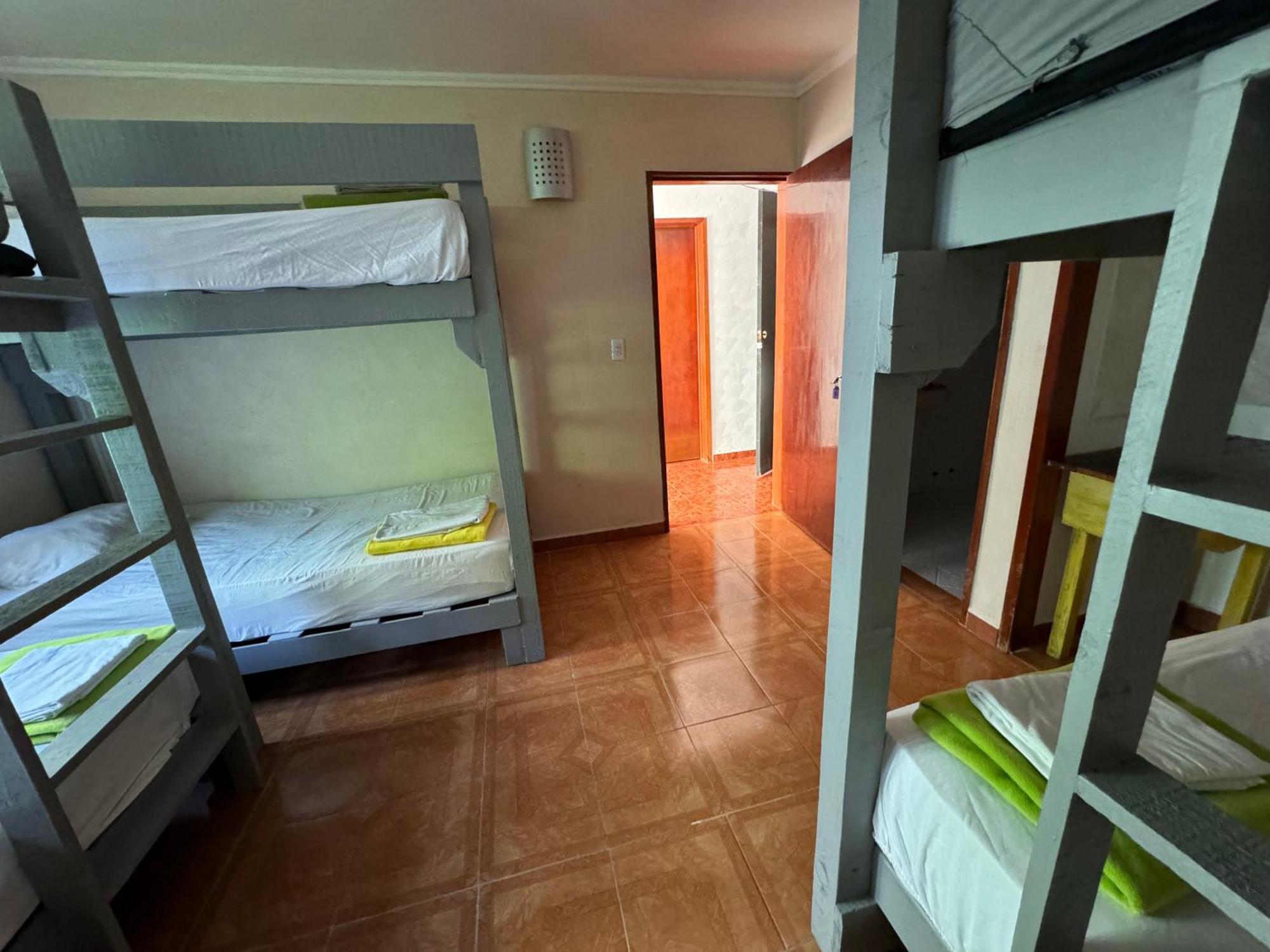 Pecari 26 Apartment Канкун Екстериор снимка