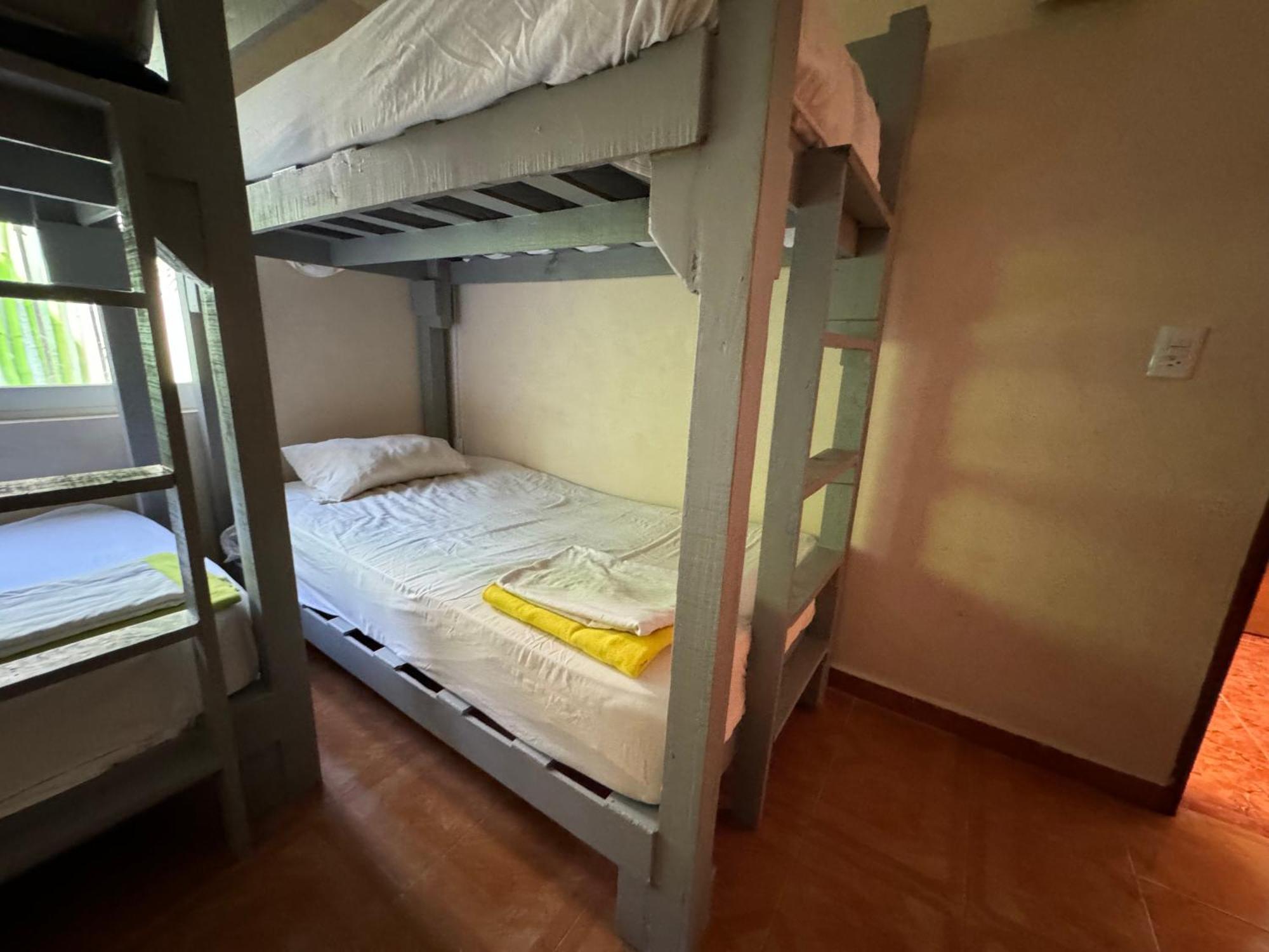 Pecari 26 Apartment Канкун Екстериор снимка